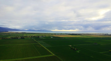 Wine Marlborough Podcast featuring Heather Stewart from Saint Clair