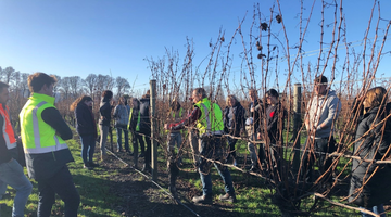 Education session – Pruning vineyards