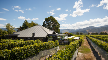 Saint Clair Royal Easter Show Wine Awards Success 2017