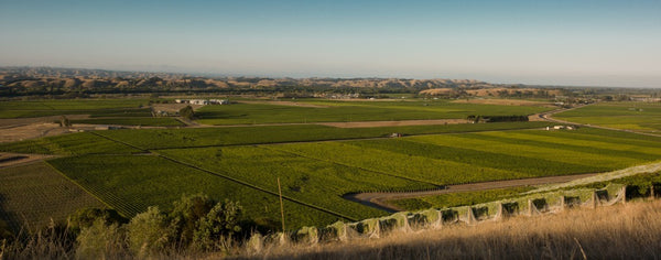 Gimblett Gravels Pack: Hawkes Bay Selection